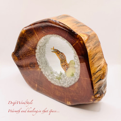 海の世界を閉じ込めた流木アート トラウツボ 水中ジオラマ 流木 レジン テラリウム アクアリウム インテリア N7 5枚目の画像