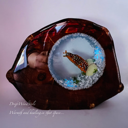 海の世界を閉じ込めた流木アート トラウツボ 水中ジオラマ 流木 レジン テラリウム アクアリウム インテリア N7 2枚目の画像