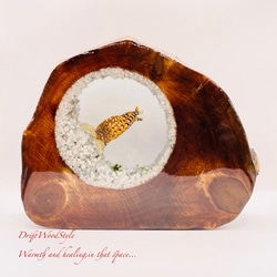 海の世界を閉じ込めた流木アート トラウツボ 水中ジオラマ 流木 レジン テラリウム アクアリウム インテリア N7 6枚目の画像