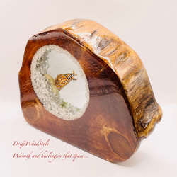 海の世界を閉じ込めた流木アート トラウツボ 水中ジオラマ 流木 レジン テラリウム アクアリウム インテリア N7 9枚目の画像