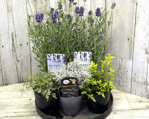 06371a9f369f4d4862295e0c704938