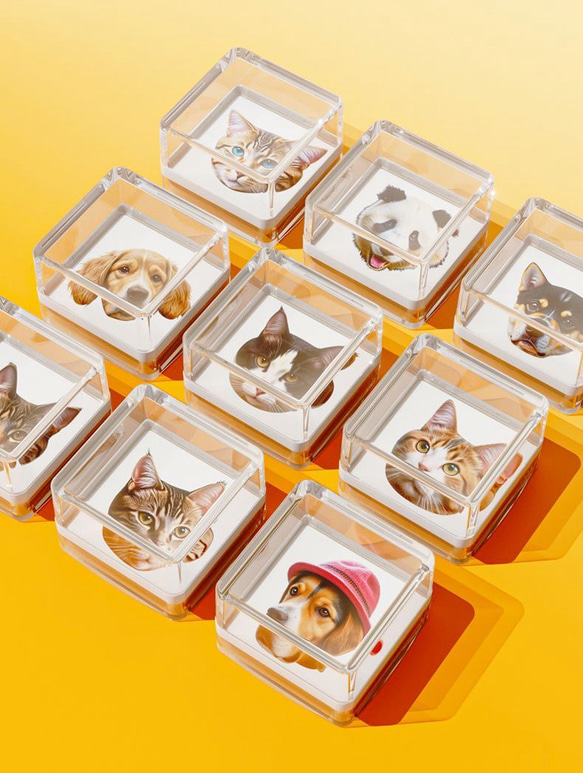 スタンプ　ハンコ　愛犬・愛猫・動物・ペット・ウサギ・ハムスター・鳥など 1枚目の画像