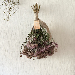 アナベル 2本 スワッグ 42cm【2】＊ 紫陽花 あじさい アジサイ ドライ