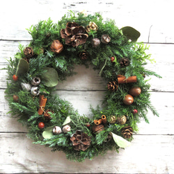 完売❤️早割❤️木の実達のXmasリース⭐️シダローズコットン22cm 完売❤️早割❤️木の実達のXmasリース⭐️シダローズコットン