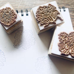 酔芙蓉//3個セット(w2318) 1枚目の画像