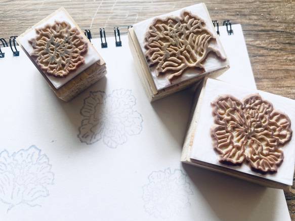 酔芙蓉//3個セット(w2318) 1枚目の画像