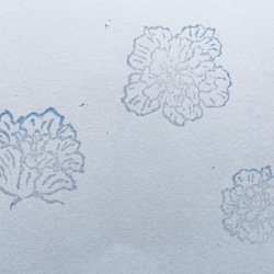 酔芙蓉//3個セット(w2318) 2枚目の画像