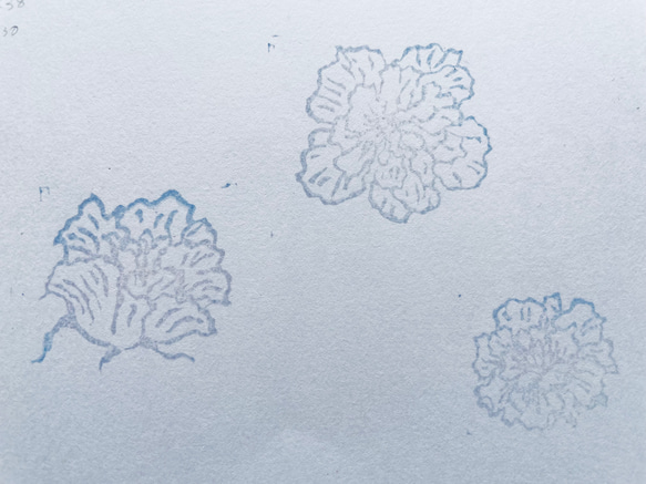 酔芙蓉//3個セット(w2318) 2枚目の画像