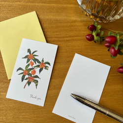 香る金木犀ミニサンキューカードセット 4枚目の画像