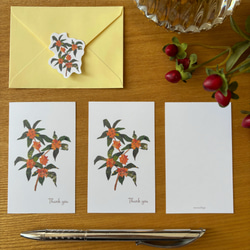 香る金木犀ミニサンキューカードセット 2枚目の画像