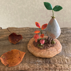 9832.bud 三本脚 小さい秋みつけた 3枚目の画像