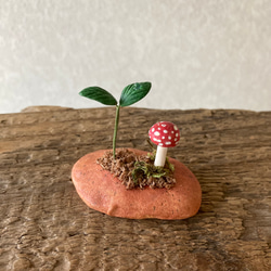 9834.bud 粘土のきのこ 3枚目の画像