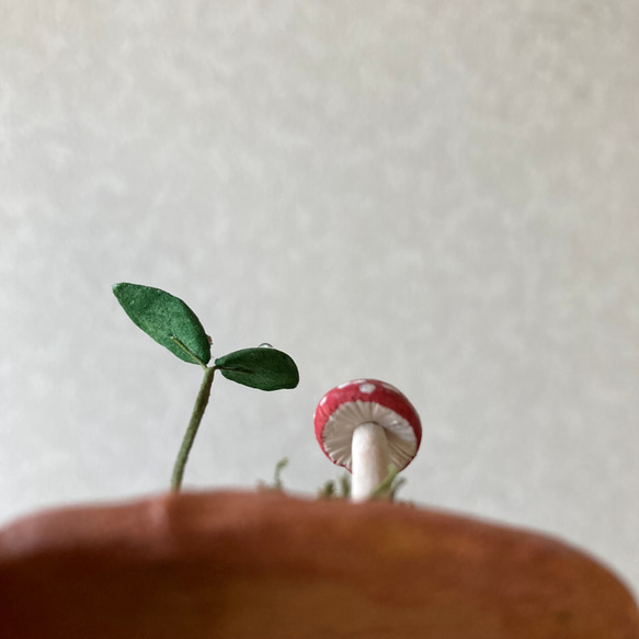 9834.bud 粘土のきのこ 5枚目の画像