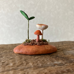 9837.bud 粘土のきのこ 4枚目の画像