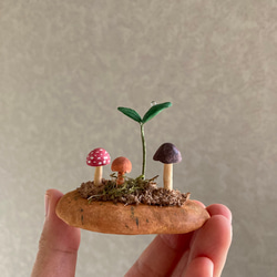 9839.bud 粘土のきのこ 6枚目の画像