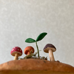 9839.bud 粘土のきのこ 5枚目の画像