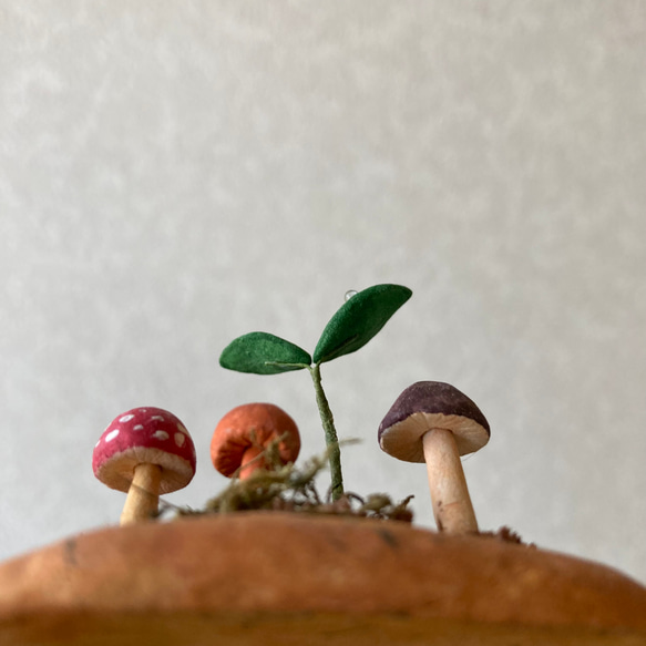 9839.bud 粘土のきのこ 5枚目の画像