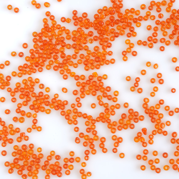 (5g) 10/0 フランス製 ヴィンテージ シードビーズ　キャロットオレンジ 2枚目の画像