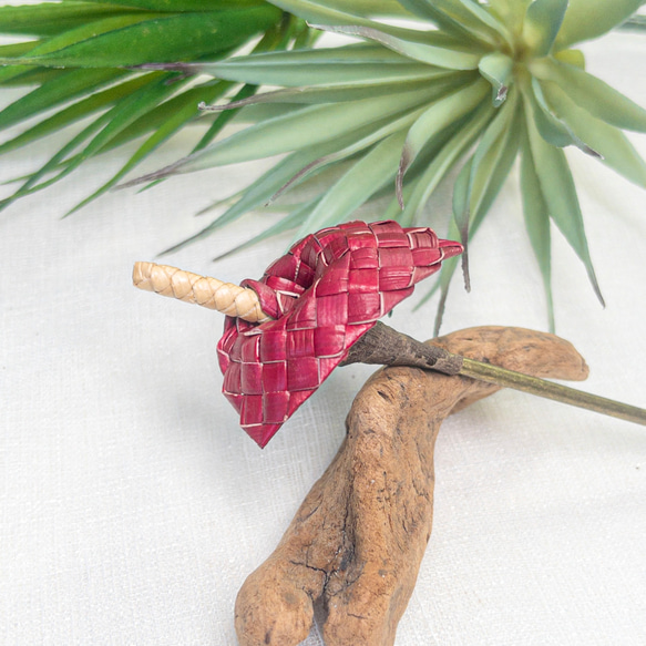 ＊オーシャンページ＊　ミニアンスリウム　ヘアピック オーシャンページ＊ ミニアンスリウム ヘアピック オーシャンページ