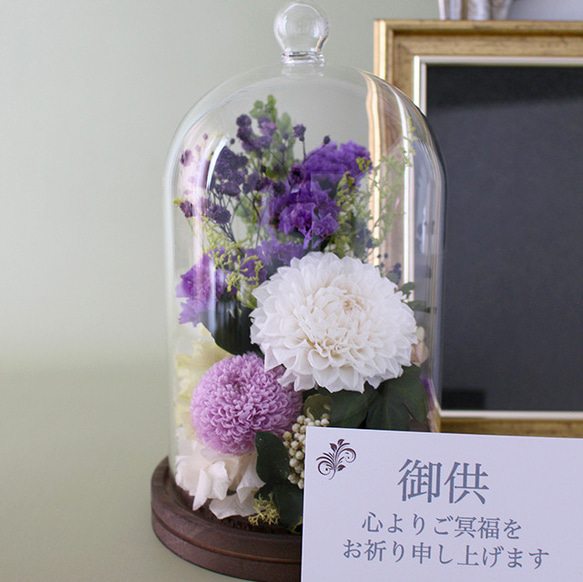 喪中はがきが届いたらFUNERALウッドガラスドーム ダリアスターチスLV【プリザーブドフラワー】お悔やみお供え 2枚目の画像