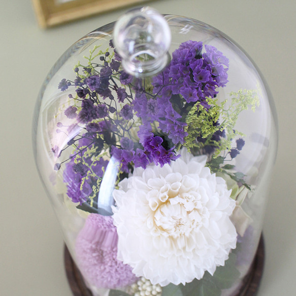 喪中はがきが届いたらFUNERALウッドガラスドーム ダリアスターチスLV【プリザーブドフラワー】お悔やみお供え 3枚目の画像