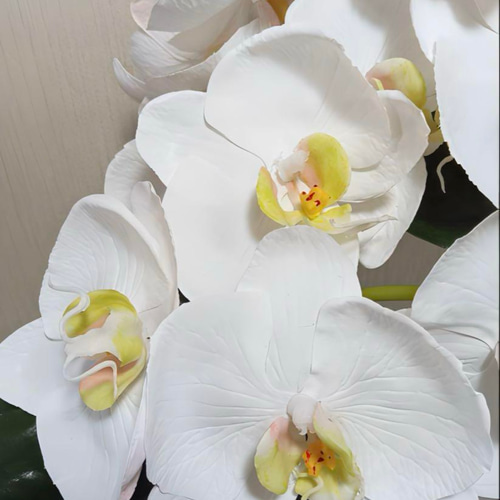 光触媒　観葉植物　フェイクグリーン　エミリオロバ　ファレノプシス4L 胡蝶蘭 光触媒 人工観葉植物 フェイクグリーン エミリオロバ