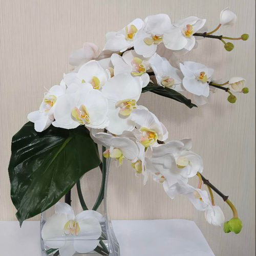 光触媒　観葉植物　フェイクグリーン　エミリオロバ　ファレノプシス4L 胡蝶蘭 光触媒 人工観葉植物 フェイクグリーン エミリオロバ