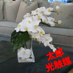 光触媒　人工観葉植物　ウォールグリーン　フェイクグリーン　ガジュマル150FST 光触媒　人工観葉植物　ウォールグリーン　フェイクグリーン　ガジュマル150FST