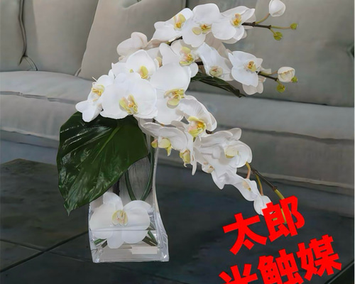 光触媒　観葉植物　フェイクグリーン　エミリオロバ　ファレノプシス4L 胡蝶蘭 光触媒 人工観葉植物 フェイクグリーン エミリオロバ