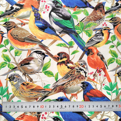 【一点物】希少なUSAコットンの間仕切り、カーテン 縦約132cm×横約108cm(野鳥柄)『Creema限定』 6枚目の画像