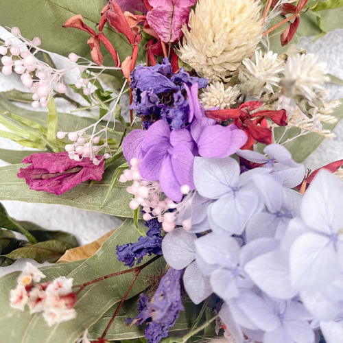 ドライフラワーリース 赤花サンタンカとユリーカグリーンのナチュラル