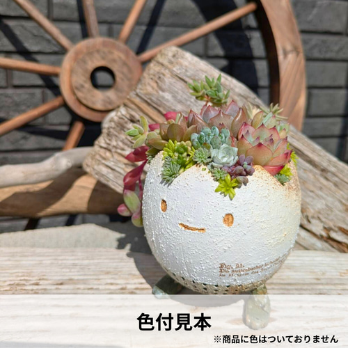 多肉植物のための鉢~たまご型足付き3号鉢〻3Dプリンター製 一輪挿し