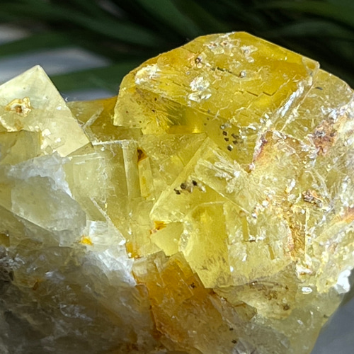 イエロー フローライト 蛍石 原石 ラフストーン 蛍光鉱物 その他置物