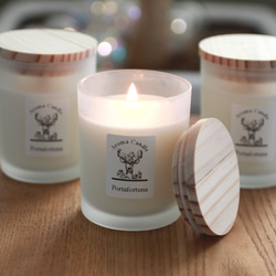 ソイキャンドル ボタニカルキャンドル 春キャンドル Lサイズ 母の日