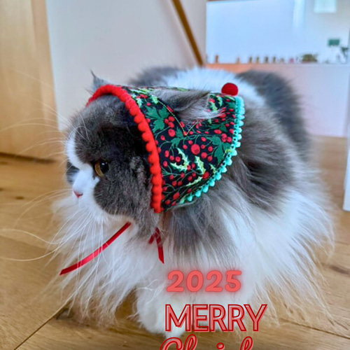 ねこのクリスマスバブーシュカ_2025 三角巾 シーズンバブーシュカ