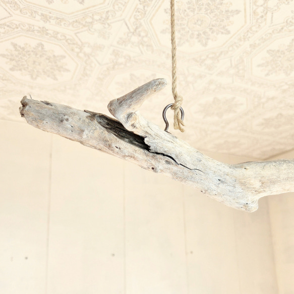 流木ハンガーラック　SARARA 　 ｜ハンギンググリーン　エアプランツ　カフェ/サロンインテリア 7枚目の画像