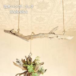 流木ハンガーラック　SARARA 　 ｜ハンギンググリーン　エアプランツ　カフェ/サロンインテリア 1枚目の画像