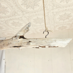 流木ハンガーラック　SARARA 　 ｜ハンギンググリーン　エアプランツ　カフェ/サロンインテリア 6枚目の画像