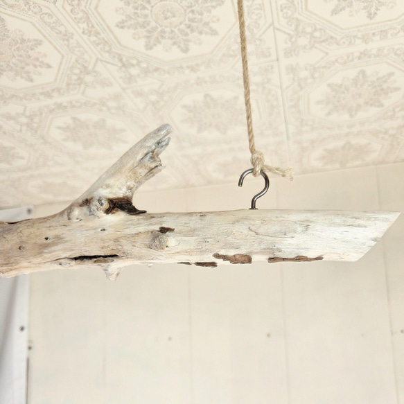 流木ハンガーラック　SARARA 　 ｜ハンギンググリーン　エアプランツ　カフェ/サロンインテリア 6枚目の画像