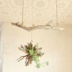 流木ハンガーラック　SARARA 　 ｜ハンギンググリーン　エアプランツ　カフェ/サロンインテリア 8枚目の画像