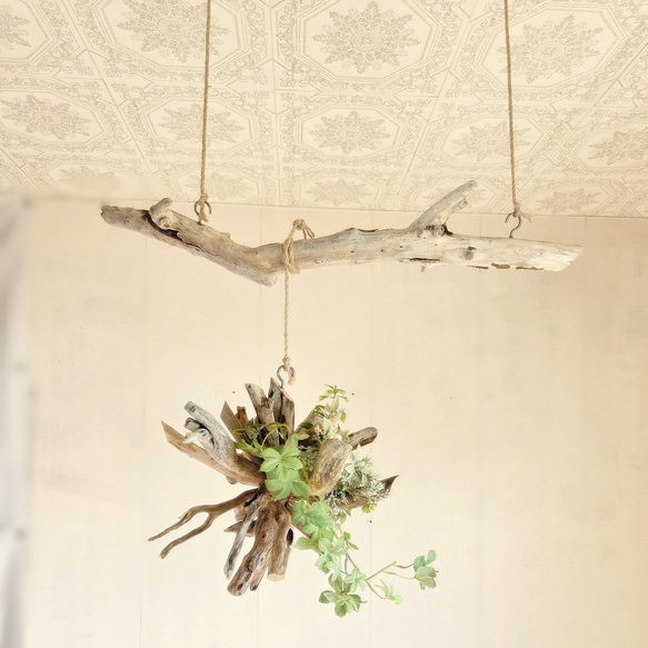 流木ハンガーラック　SARARA 　 ｜ハンギンググリーン　エアプランツ　カフェ/サロンインテリア 8枚目の画像