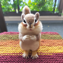 リス ぬいぐるみ のおすすめ人気通販 検索結果｜Creema(クリーマ