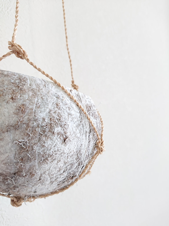 ●数量限定● ”ピレア（グラウカグレイジー）　cocoハンギングプランターセット"　観葉植物　壁掛け　シルバーグリーン 16枚目の画像