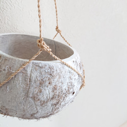 ●数量限定● ”ピレア（グラウカグレイジー）　cocoハンギングプランターセット"　観葉植物　壁掛け　シルバーグリーン 13枚目の画像