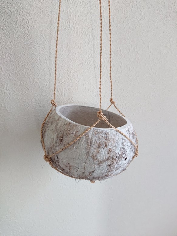 ●数量限定● ”ピレア（グラウカグレイジー）　cocoハンギングプランターセット"　観葉植物　壁掛け　シルバーグリーン 11枚目の画像