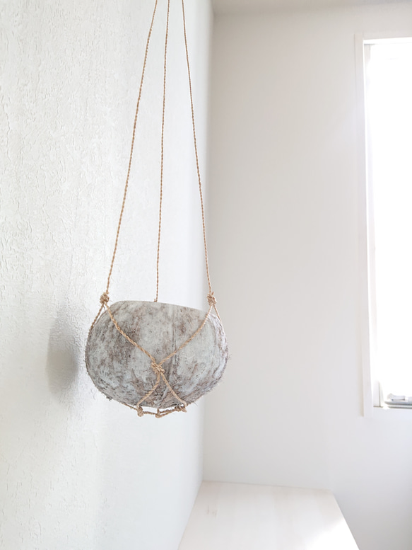 ●数量限定● ”ピレア（グラウカグレイジー）　cocoハンギングプランターセット"　観葉植物　壁掛け　シルバーグリーン 14枚目の画像