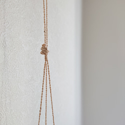 ●数量限定●新作●　 ”ペペロミア・ホープ cocoハンギングプランターセット"　観葉植物　多肉植物　壁掛け　ギフト 11枚目の画像