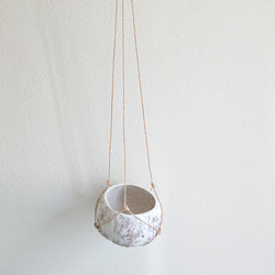 ●数量限定●新作●　 ”ペペロミア・ホープ cocoハンギングプランターセット"　観葉植物　多肉植物　壁掛け　ギフト 8枚目の画像