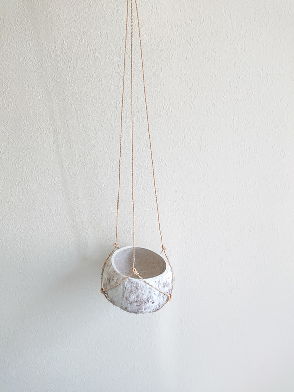 ●数量限定●新作●　 ”ペペロミア・ホープ cocoハンギングプランターセット"　観葉植物　多肉植物　壁掛け　ギフト 8枚目の画像