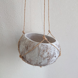 ●数量限定●新作●　 ”ペペロミア・ホープ cocoハンギングプランターセット"　観葉植物　多肉植物　壁掛け　ギフト 6枚目の画像